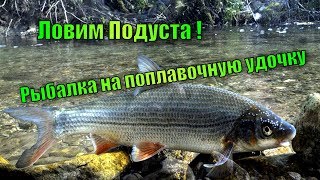 ПОПЛАВОЧНАЯ РЫБАЛКА ПОДУСТА НА РЕЧКЕ! МОМЕНТЫ СНЯТЫЕ НА КАМЕРУ.Экшн-камера SJCAM SJ7 STAR