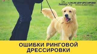 Ошибки ринговой дрессировки  или как испортить собаку
