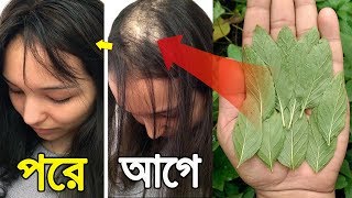 চিরকালের জন্য চুল পড়া বন্ধ করুন -  ৭দিনে চুল পড়া বন্ধ হবেই - চুল পড়া বন্ধের উপায়