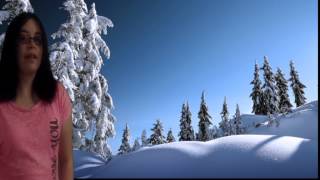 Why Do Dogs Bark - Nichole337