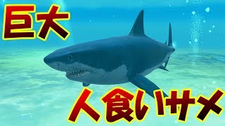 新章スタート!! モンスターボス巨大ホオジロザメを釣り上げろ!! ストーリーモード攻略開始!! - 釣りスピリッツ #14