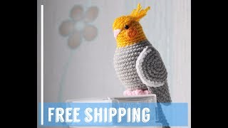 Greetings Sarah/ Bird flash mob