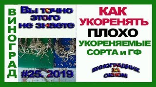 ? Как укоренить ПЛОХОУКОРЕНЯЕМЫЕ сорта и ГФ.Виноград. Укоренение черенков 2019.