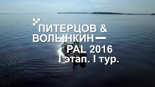 Выступление А. Питерцова и А. Волынкина. PAL 2016. I этап. I тур - PAL Action Movies