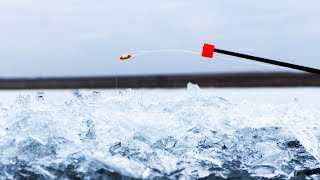 ТАКУЮ ПЛОТВУ В ЖИЗНИ НЕ ВИДЕЛА.зимняя рыбалка в палатке 2020