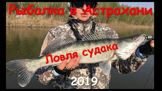 Рыбалка в Астрахани 2019. Ловля судака. Никольское.