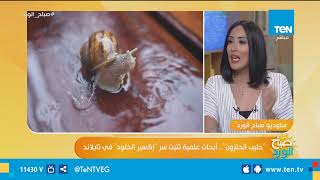 صباح الورد - "حليب الحلزون".. أبحاث علمية تثبت سر " إكسير الخلود" فى تايلاند