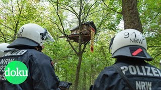 Bäume oder Braunkohle? Der Kampf um den Hambacher Forst | WDR Doku