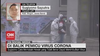 Di Balik Pemicu Virus Corona
