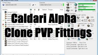 Caldari Alpha Clone PVP Fittings