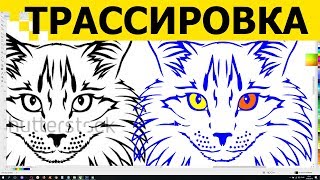 Перевод растра в вектор ? Трассировка изображений фото Как сделать CorelDraw дизайнер Урок Обучение