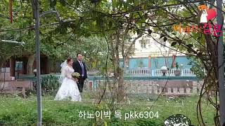 베트남국제결혼 2020년 02월09일 여성을 지명을 했을시 그 여성과 결혼 할 거라고 100%믿지 마시길 바랍니다. 004 005