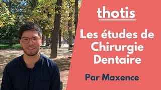 Devenir Chirurgien-Dentiste : les études d'odontologie - Thotis