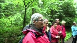 WaldWanderung Rotenberg: WALDSCHÄTZE