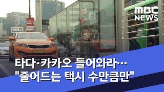 타다·카카오 들어와라…"줄어드는 택시 수만큼만" (2019.07.17/뉴스데스크/MBC)