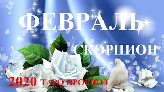 СКОРПИОН. Февраль 2020.  Дамский Прогноз.  Таро.