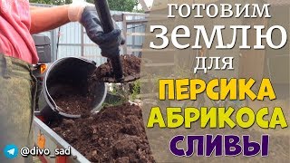 Подготовка земли для посадки персиков, абрикосов и слив