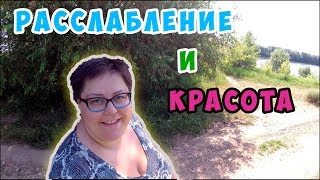 Купание мопса в реке. Привожу ноготки в порядок. 11 июня 2019 г.
