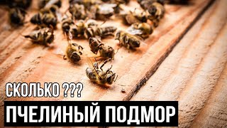 Сколько пчелиного подмора в ульях ??? 22.01.2020