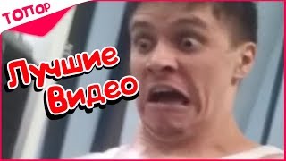 BEST COUB #011 - ЛУЧШИЕ ПРИКОЛЫ НЕДЕЛИ [ТОПор]