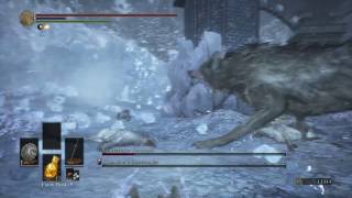 Dark Souls 3 - Champion's Gravetender vs Gravetender Greatwolf