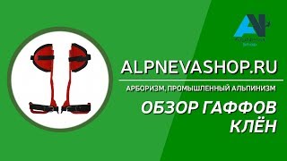 Обзор гаффов Клён. 2016 год