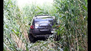 В камышах, в плавнях, Toyota FJ Cruiser, Off Road, 4х4, Nissan Pathfinder,  лебедка,
