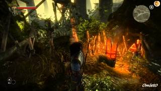 Witcher II. Прохождение #7. Серебряный меч и разбойники.