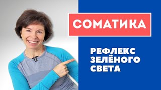 #8 Соматика Томаса Ханны. Урок 1: рефлекс зеленого света.