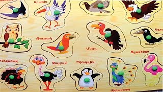 Սովորում ենք թռչունները / Educational video about birds for kids / Учим птиц по армянски