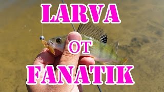 Ловим окуня на спиннинг, съедобный силикон Larva от Fanatik