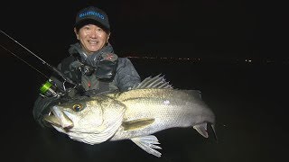 【いつでも釣り気分！】#262 極上の曲がりで制す！ 秋の東京湾シーバスゲーム