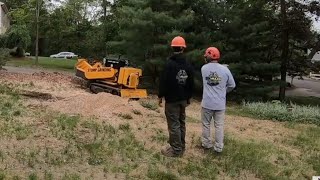 stump grinding in Danbury Connecticut