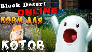 Black Desert - Как сделать корм для котов