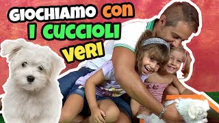 Giochiamo con i cuccioli
