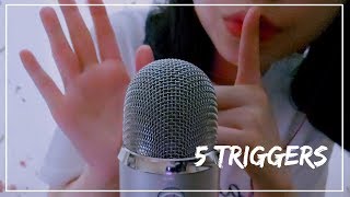 [ASMR] 팅글을 느낄 수 있는 4가지 물건 / 4 Triggers (No Talking)