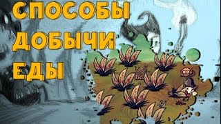 Способы добычи еды в Don't Starve: Shipwrecked (подготовка к сезону муссонов )