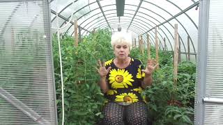 САМЫЕ ГЛАВНЫЕ ОШИБКИ ПРИ ВЫРАЩИВАНИИ ТОМАТОВ.Ольга Чернова.
