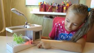 Аквариум с рыбкой на детском столе!! Распаковка, обзор. Aquarium fish on the children's table!