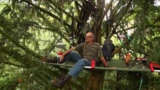 Tree Camping High Up In The Canopy