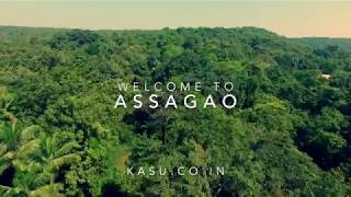 Welcome to assagao