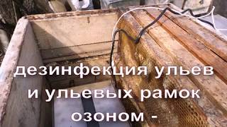 дезинфекция ульев и рамок суши с помощью озона