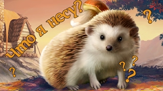 Что приносит Еж из Клондайка