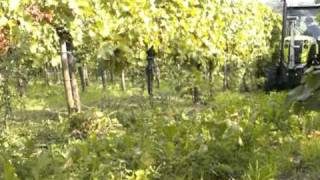 CLEMENS Bio Mulch-Walze "ECO-Roll"