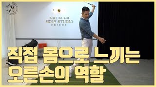 [박하림프로] 임팩트시 오른손의 역할?왼손의 역할?정확하게 알기 _[골프레슨&골프기초]