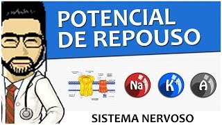 Sistema Nervoso 03 - Potencial de Repouso (Vídeo Aula)