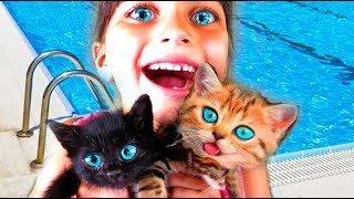 СПАСЛИ КОТЯТ Симулятор Котенка Симулятор СОБАЧКИ kids game learn Little Kitten Play Fun Pet Care