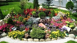 Цветы для альпийской горки