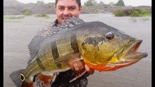 Pesca de pavon  o tucunare en invierno Vichada 2013 ---------  www.tucunarelodge.com