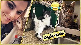 تجميعية مضحكة جدا للقطط - ?? ستموت من الضحك ( جديد 2019 ) #13